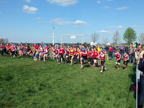 华体会登录地址-中国篮球青少年篮球发展政策落实,国家对青少年篮球的政策 第3张 华体会登录地址-中国篮球青少年篮球发展政策落实,国家对青少年篮球的政策 第3张