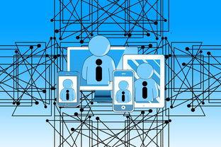 华体会网站-中国篮球青少年篮球发展政策评估及推广策略分析，中国青少年篮球训练指导手册  第2张