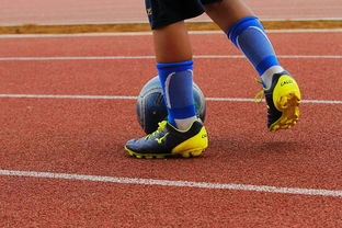 华体会平台-中国篮球青少年篮球发展政策评估,中国青少年篮球的发展方向 第5张 华体会平台-中国篮球青少年篮球发展政策评估,中国青少年篮球的发展方向 第5张