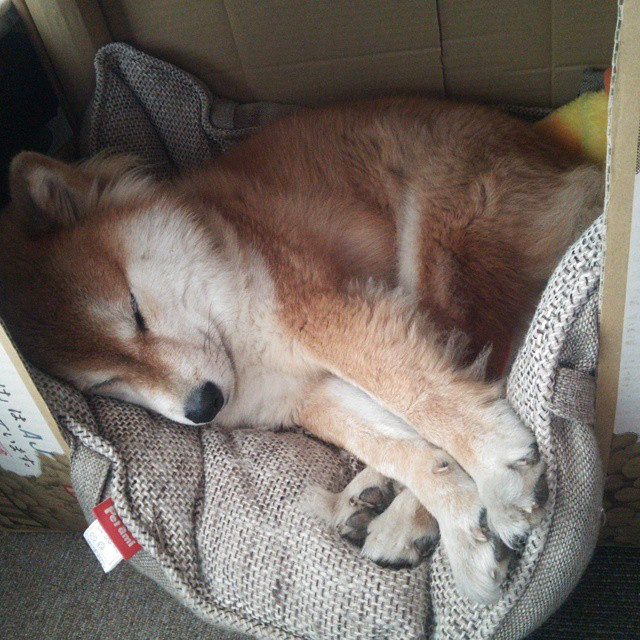 华体会app-中国篮球青少年篮球发展趋势分析，青少年篮球的未来发展