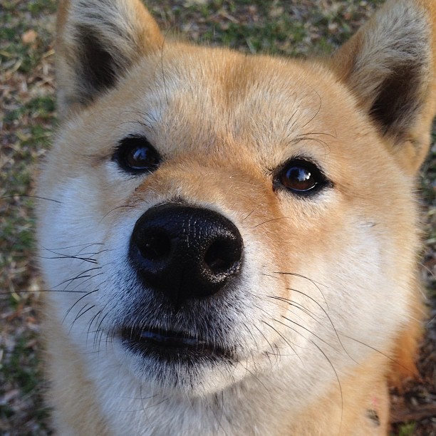 华体会官网-中国篮球青少年篮球培训机构发展现状，青少年篮球培训机构未来发展趋势