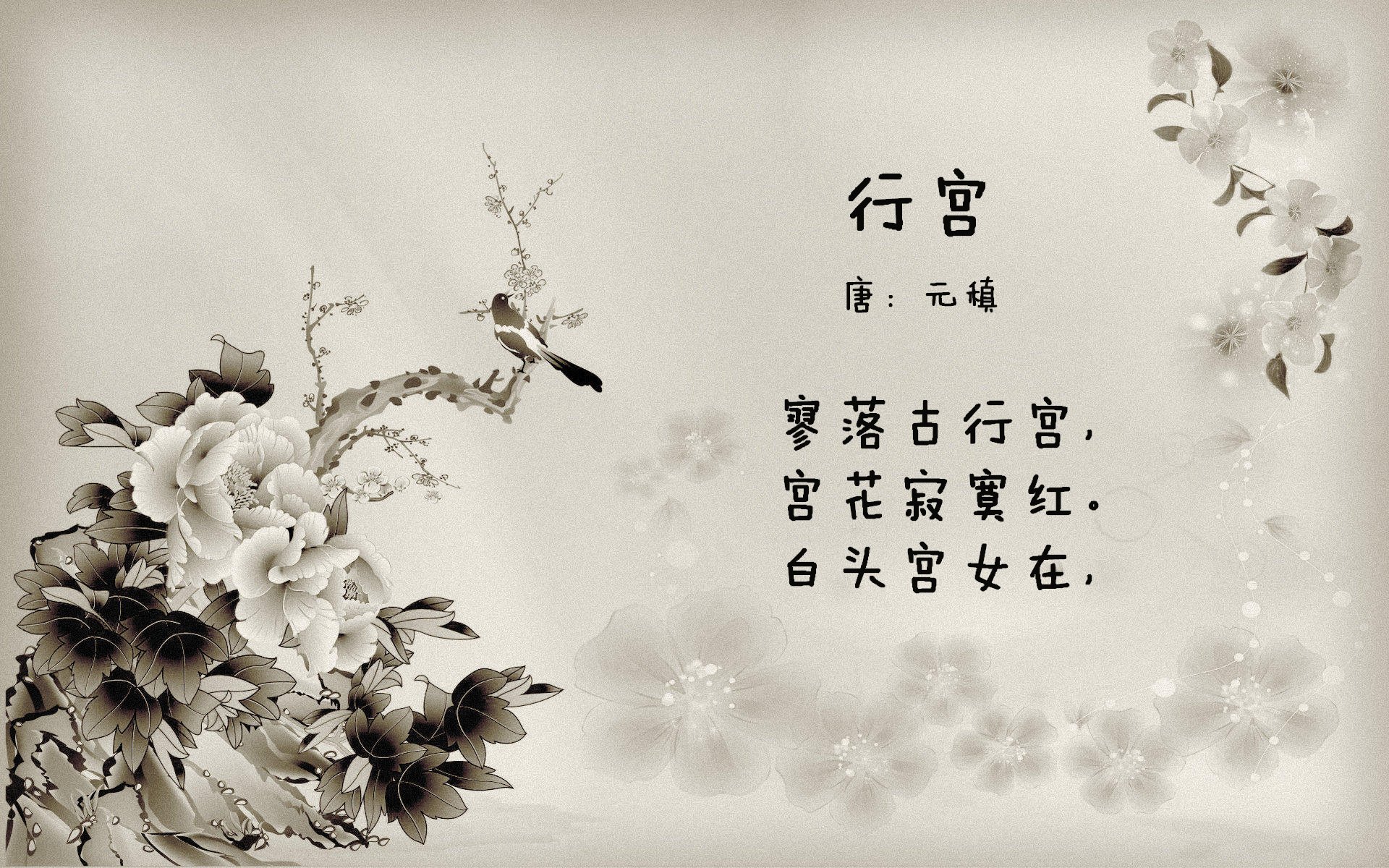 华体会在线登录-中国篮球青少年篮球培训机构现状，青少年篮球培训招生