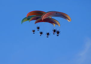 华体会在线登录-德甲球队构建动态战术模拟系统提升临场应变 第3张 华体会在线登录-德甲球队构建动态战术模拟系统提升临场应变 第3张