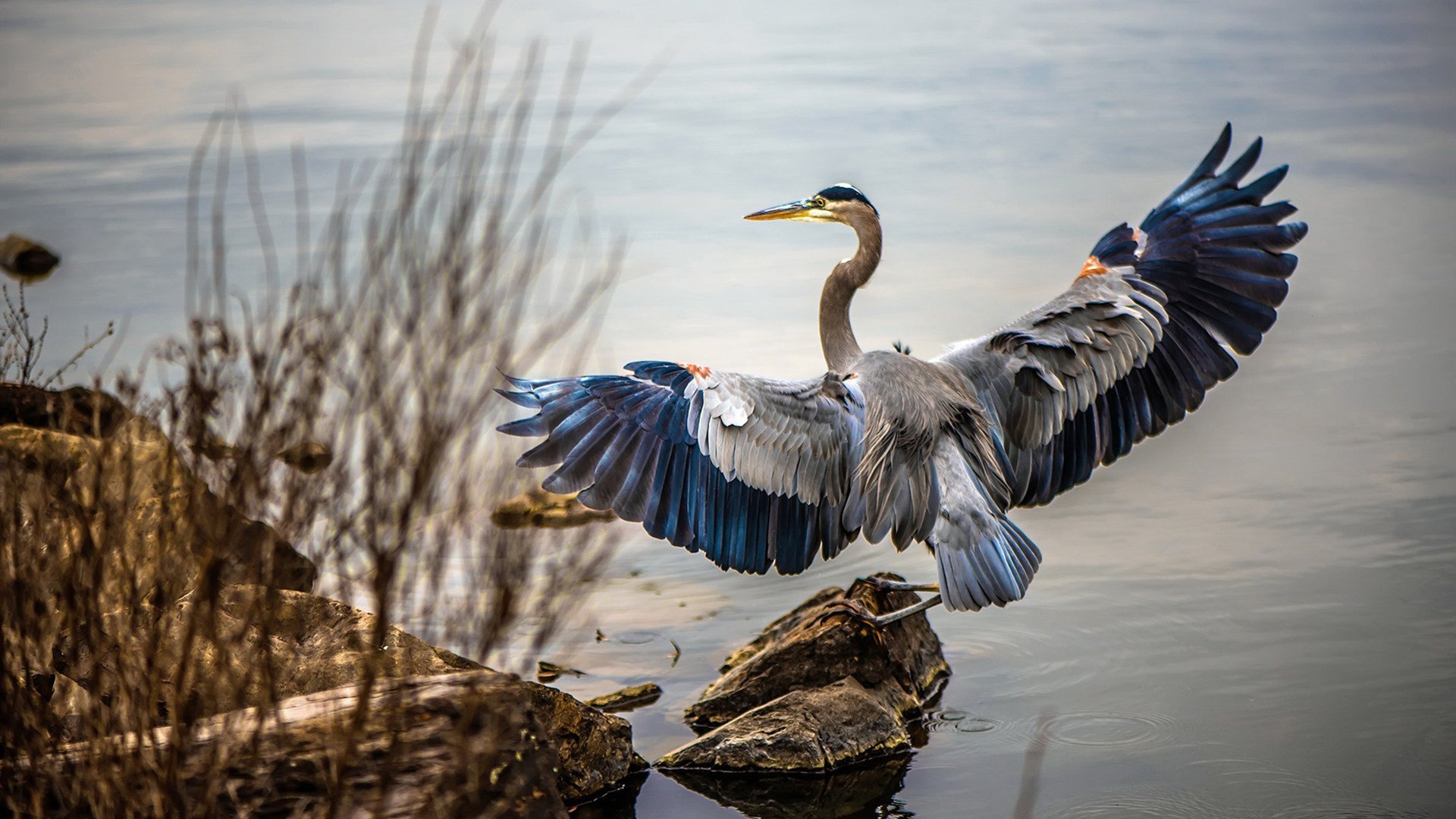 华体会登录-篮球运动员训练负荷监控系统开发与应用研究，篮球运动员运动负荷量  第5张