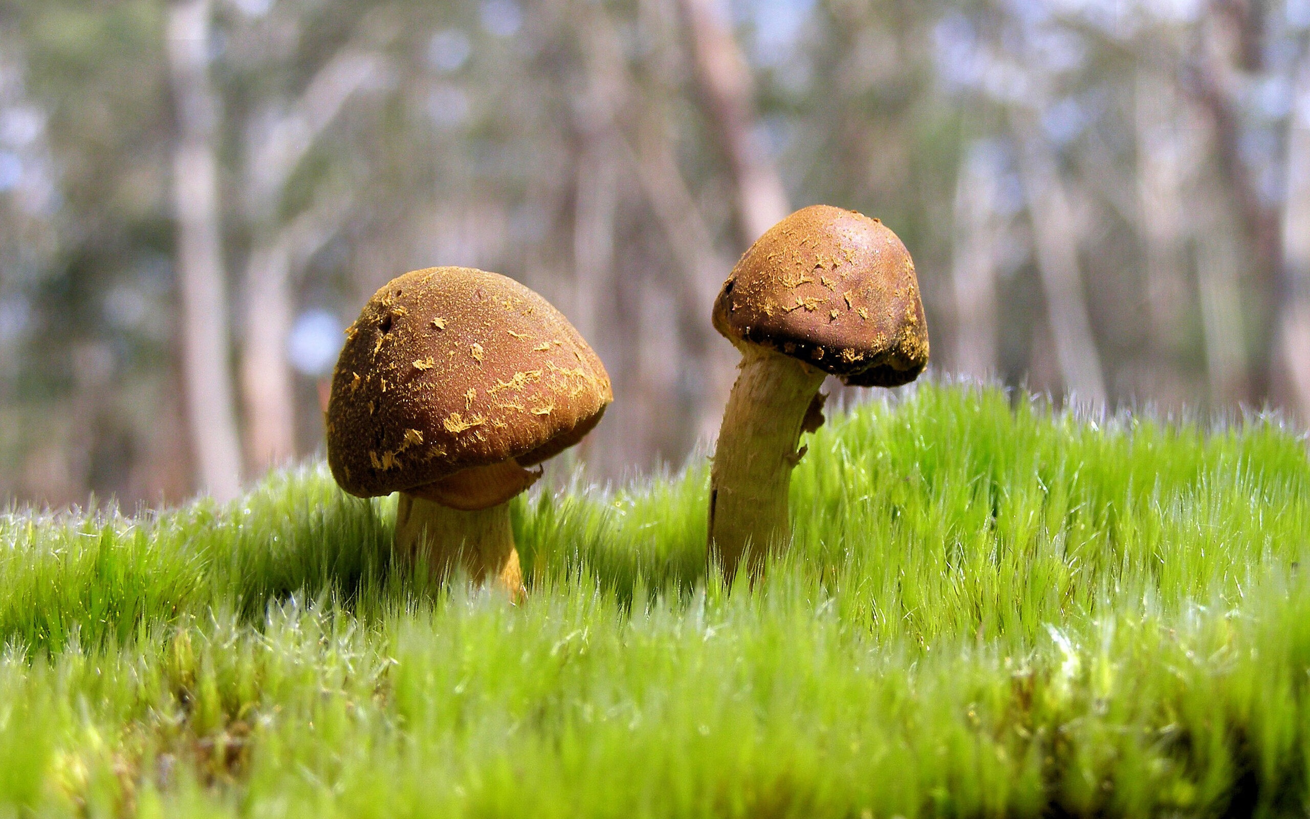 华体会网站-运动员职业技能竞赛方案,运动员职业技能竞赛方案怎么写 第2张 华体会网站-运动员职业技能竞赛方案,运动员职业技能竞赛方案怎么写 第2张