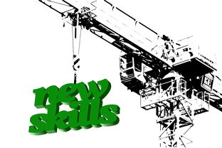 华体会登陆-高校体育教师数字化教学能力提升路径,数字化体育教学应用 第2张 华体会登陆-高校体育教师数字化教学能力提升路径,数字化体育教学应用 第2张