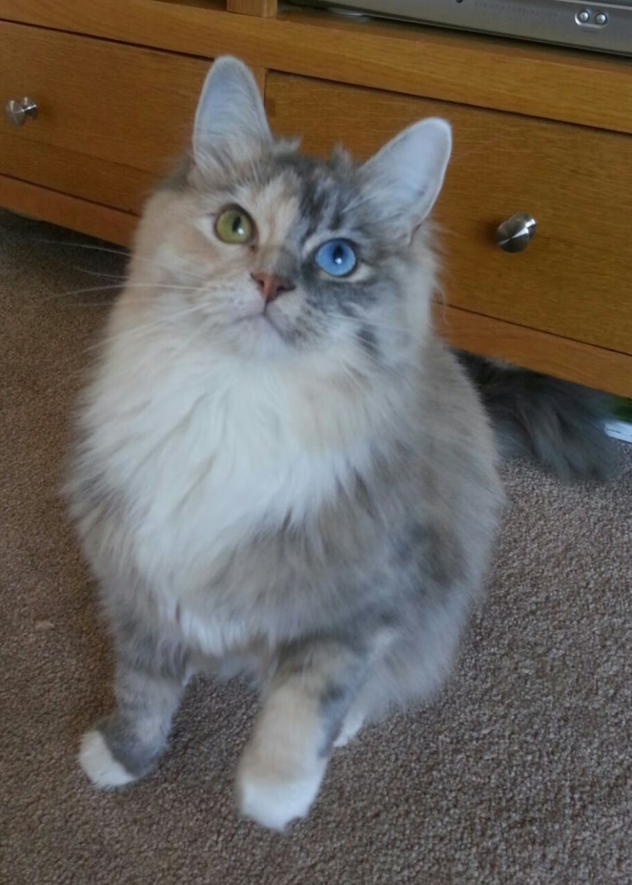 华体会官方网站-CBA联盟深化联赛品牌建设 吸引更多关注，cba联盟公司