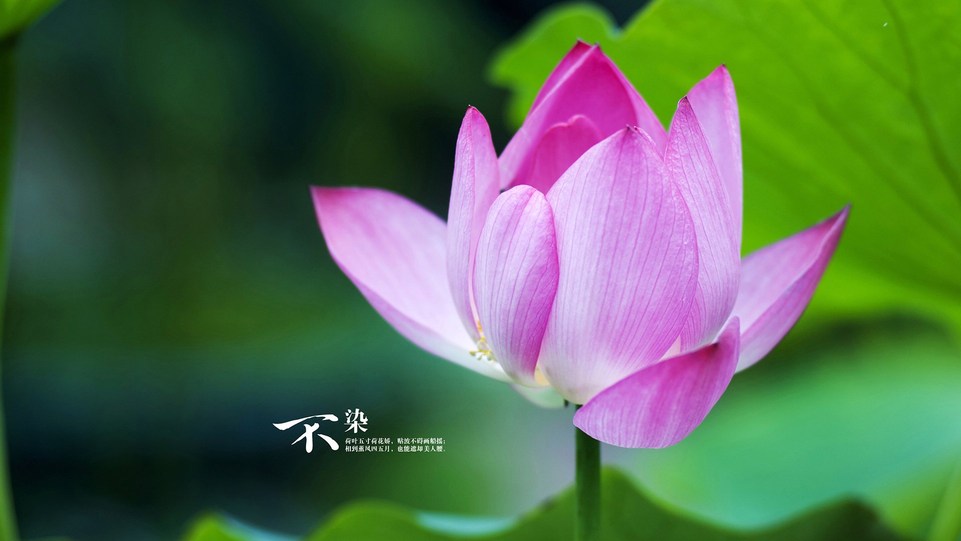 华体会在线登录-中国男篮阵容调整 新老结合值得期待，中国男篮阵容有哪些