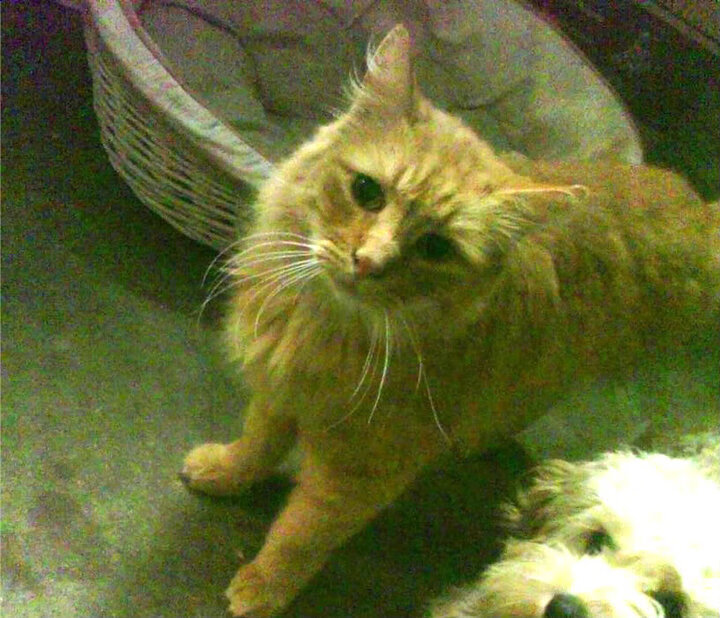 华体会app登入-俱乐部财政状况对球队表现的影响，俱乐部财务制度范本