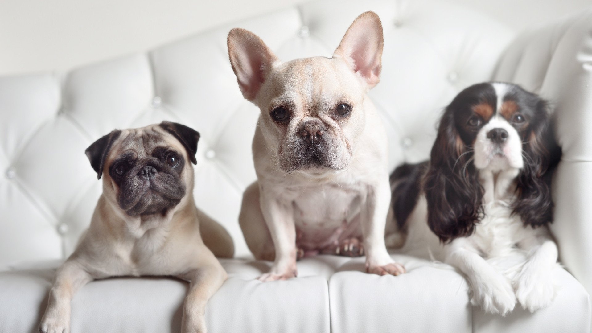 华体会登录地址-换人频率与节奏控制之间的关系探讨