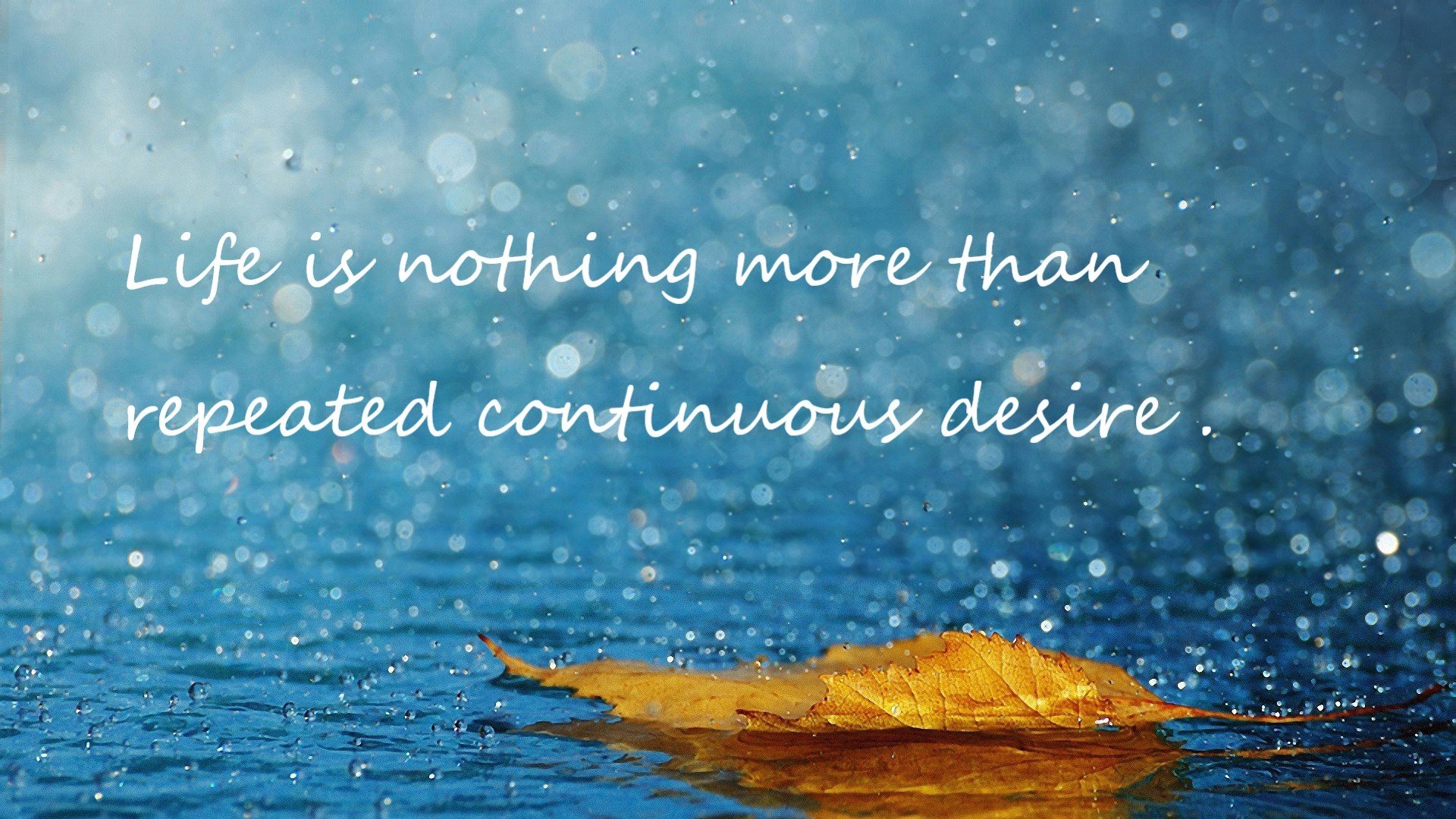 华体会网站-蝶泳动作细节优化策略，蝶泳动作要领口诀