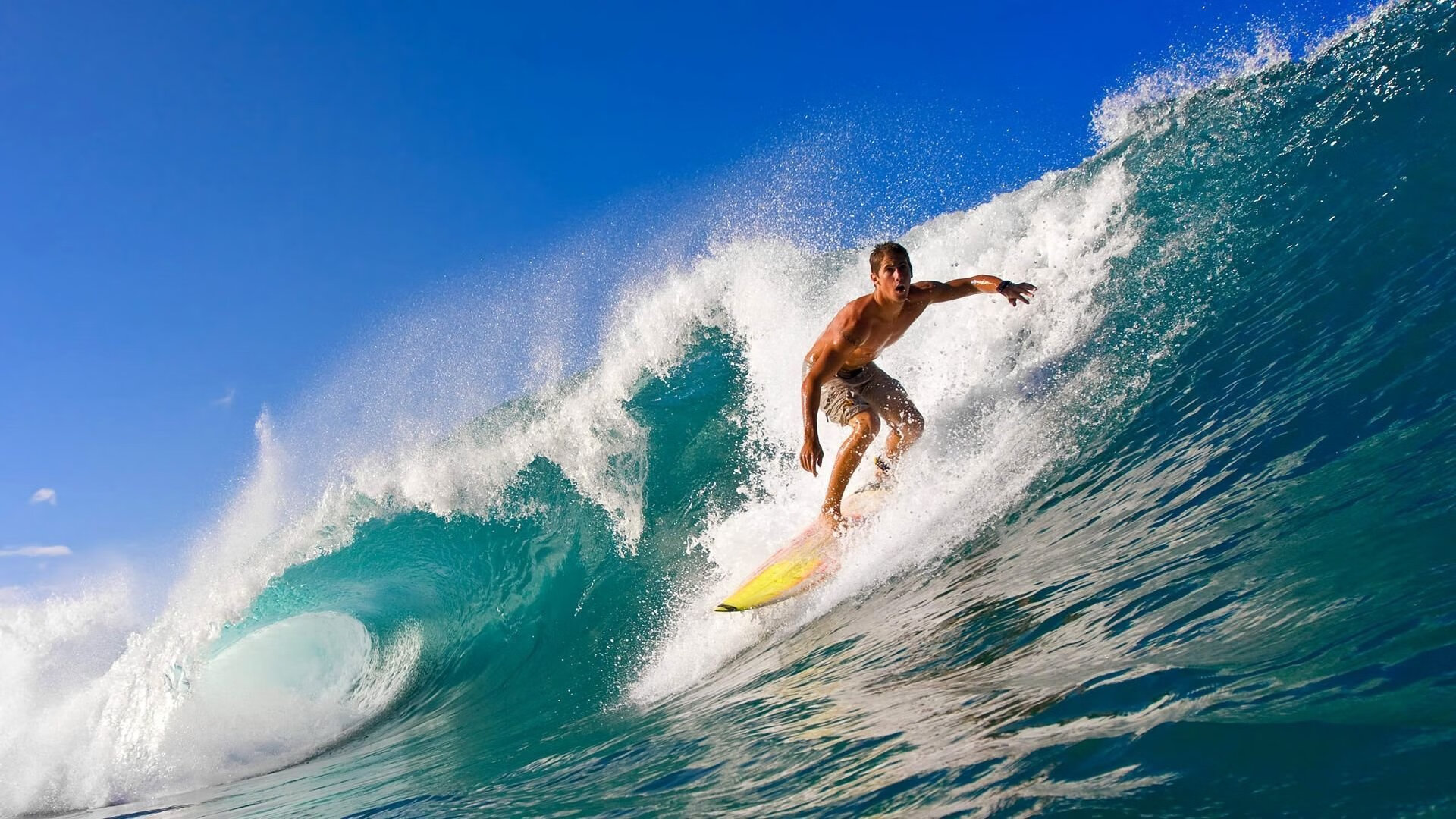 华体会登录地址-风险防控：反兴奋剂系统全面升级，反兴奋剂是什么