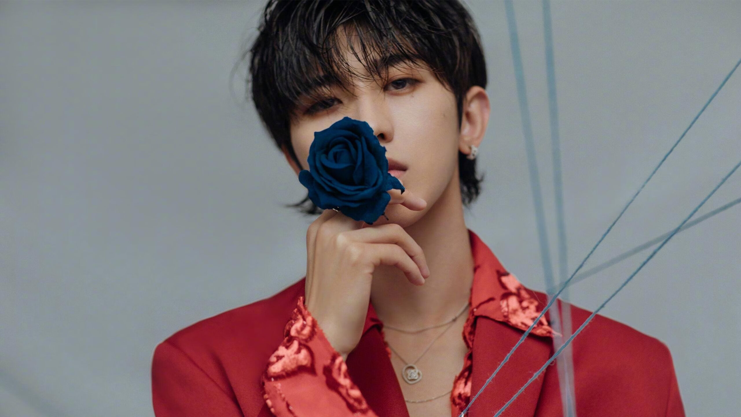 华体会登录入口-南非橄榄球市场影响力逐步增强,赛事传播范围更广,南非橄榄球图片