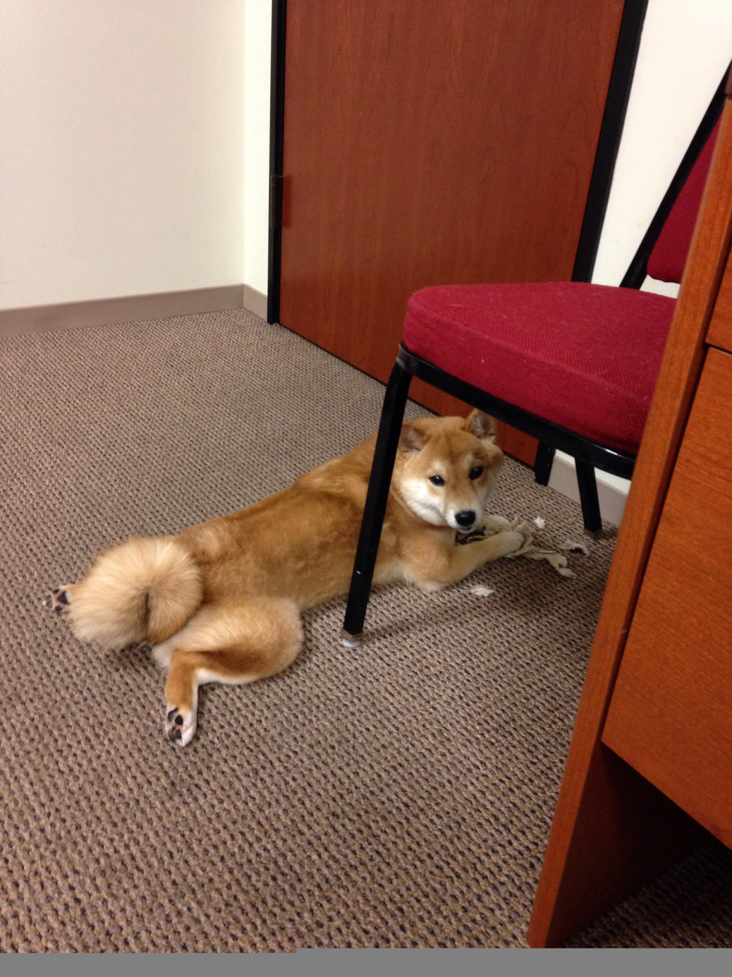 华体会app注册-广东男篮强势反弹CBA季后赛,广东男篮强势反弹cba季后赛视频