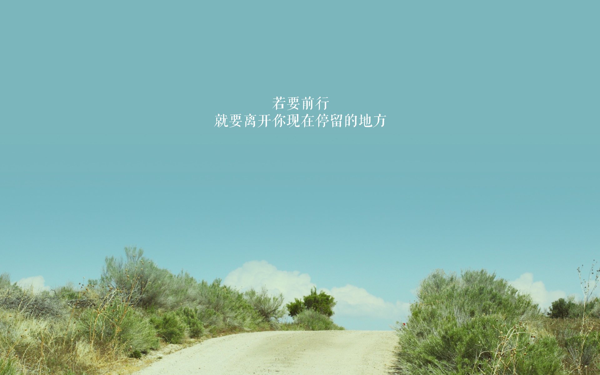 华体会官网-意甲精彩瞬间:速度、技术、团队的完美结合!,意甲冲刺速度