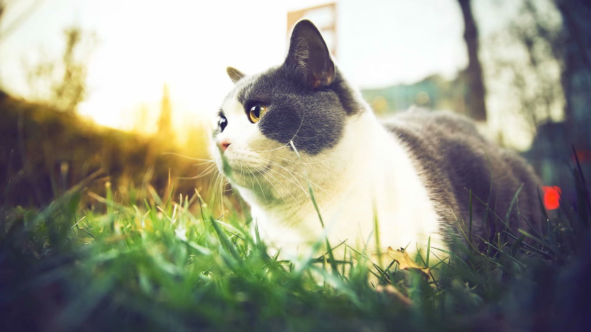 华体会官网-滑行段利用率提升明显,速度加快,滑行距离公式