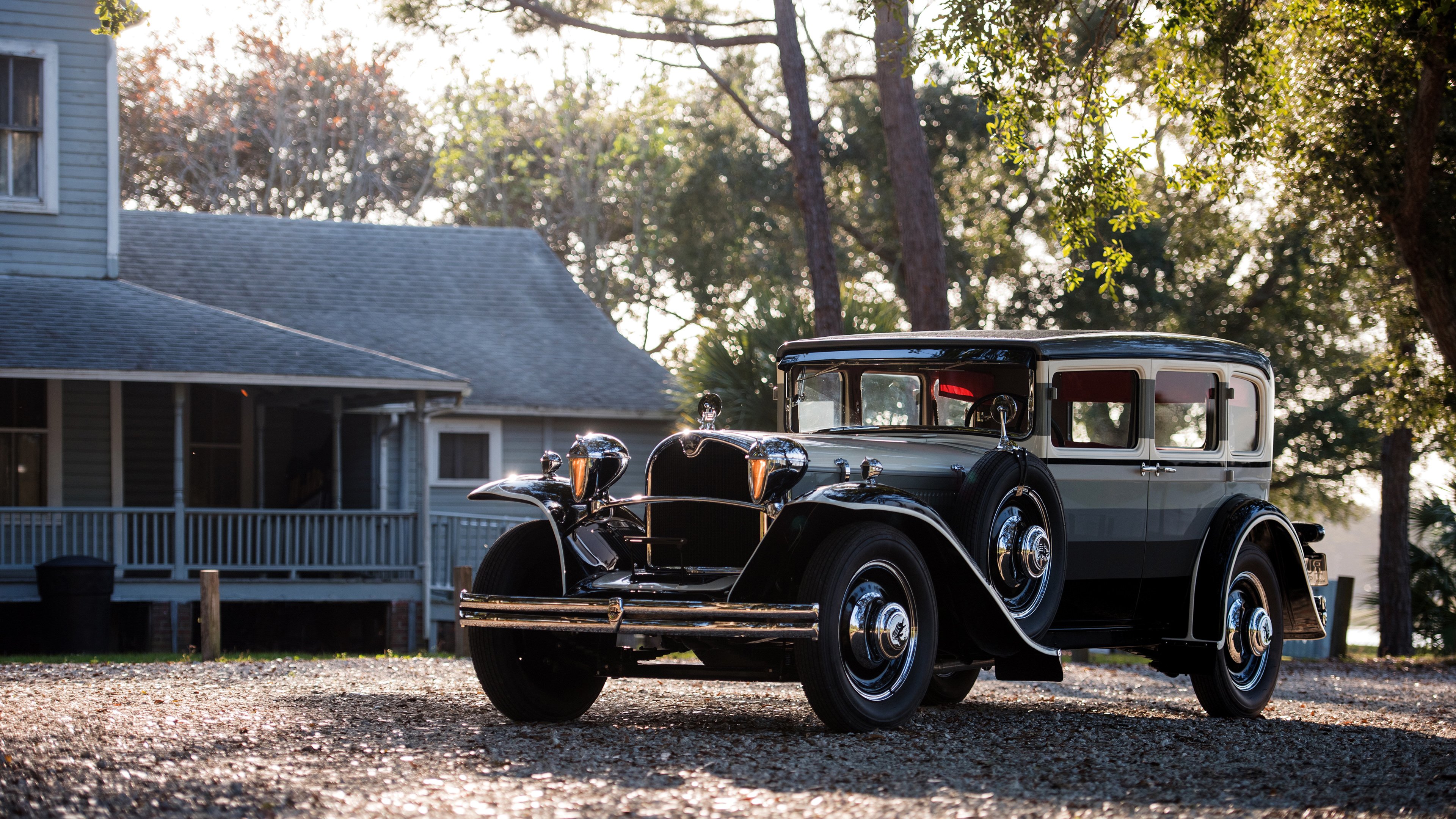 华体会-自由泳冲刺比利时展现速度优势，莉比自由泳