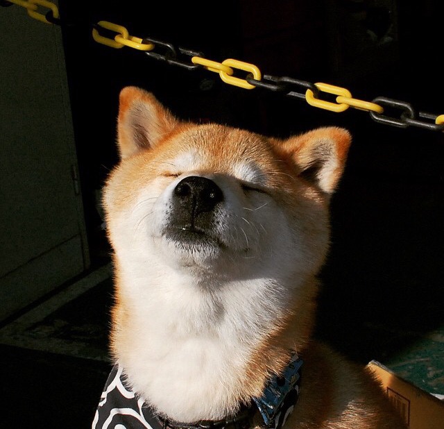 华体会登录地址-足球大数据分析纳入联赛标准配置推动科学训练，足球大数据ds  第3张