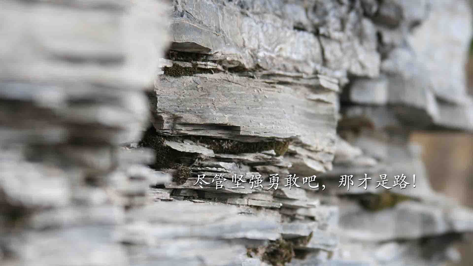 华体会登录入口-Davis 激励队友提升团队士气，激励团队的力量