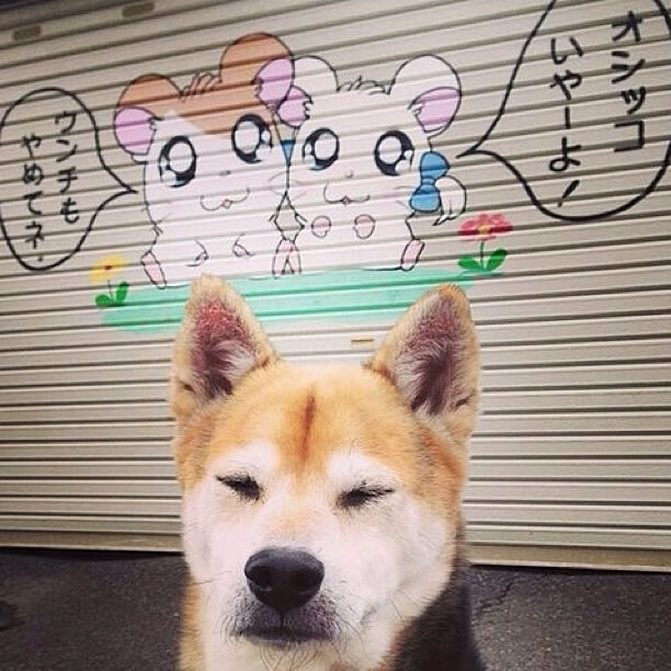 华体会在线-中国足球国家队注重对抗训练与实战演练，中国足球国家队比赛理念