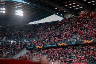 华体会app-中国足球球迷群体在线交流平台与社区文化发展，中国足球队球迷